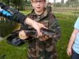 2013-10-05 - Forelvissen (16)