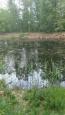 Bomen Philipsvijver (7)