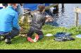 Jeugdkamp TOG 2014 (161)