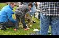 Jeugdkamp TOG 2014 (162)