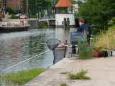 Panlatwedstrijd 2013 (46)